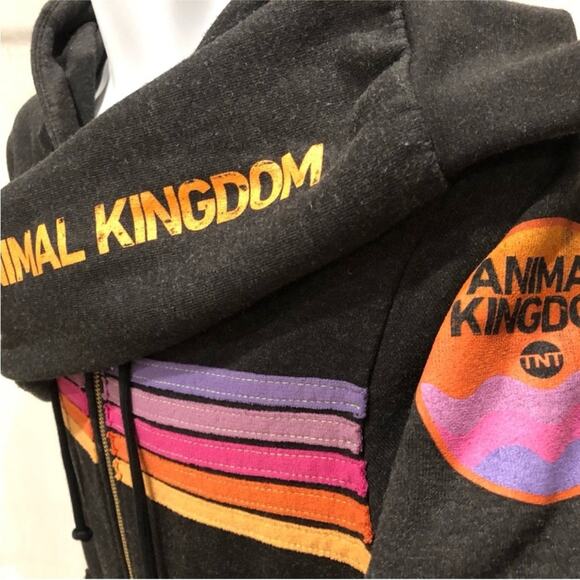 AVIATOR NATION x ANIMAL KINGDOM 5 Stripe Hoodie | Size XS - Picture 5 of 5